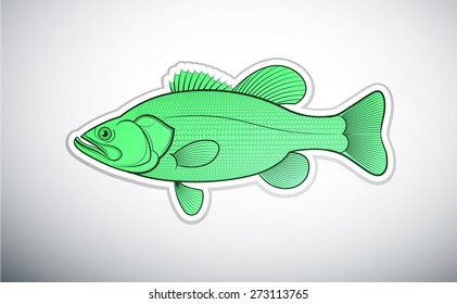 Bass Fish Outline Color Vector Illustration