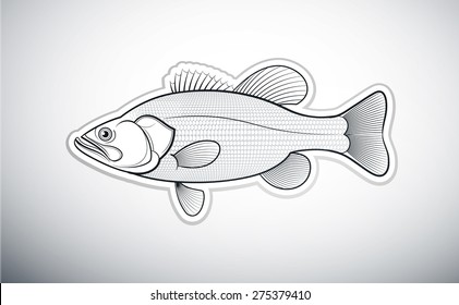 Bass Fish Outline Vector Illustration