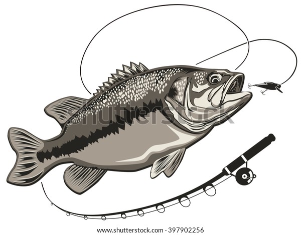 バスフィッシュ ペルチ釣りのベクターイラスト ベース釣りのベクターイラストはオリジナルのデザインに使用できます のベクター画像素材 ロイヤリティフリー