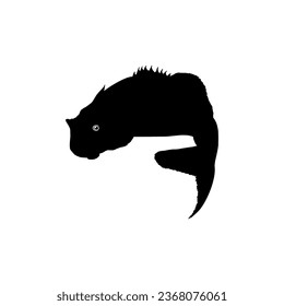 Bass Fish Silhouette, can use for Art Illustration, Logo Gram, Pictogram, Mascot, Website, or Graphic Design Element. Vector Illustration