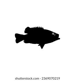 Bass Fish Silhouette, can use for Art Illustration, Logo Gram, Pictogram, Mascot, Website, or Graphic Design Element. Vector Illustration