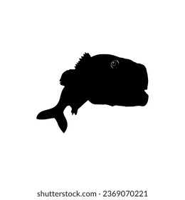 Bass Fish Silhouette, can use for Art Illustration, Logo Gram, Pictogram, Mascot, Website, or Graphic Design Element. Vector Illustration