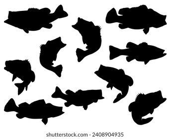 Bass fish silhouette vector art white background