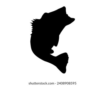 Bass fish silhouette vector art white background