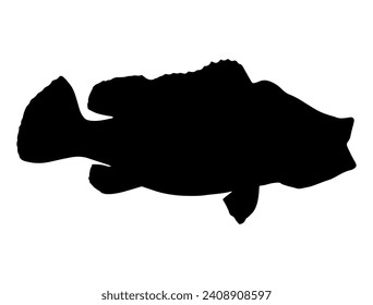 Bass fish silhouette vector art white background