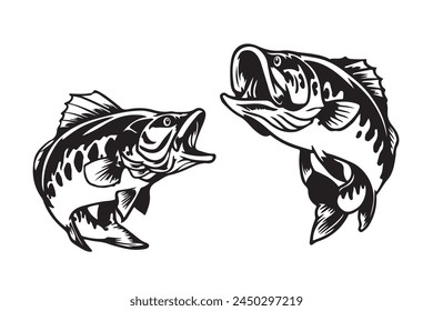 bass fish silhouette. fish vector illustration. jumping fish on white background.