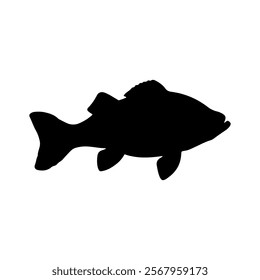 Bass fish silhouette vector illustration design on white background.