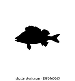 bass fish silhouette. vector illustrations.