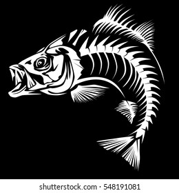 Bass fish skeleton isolated on white vector illustration