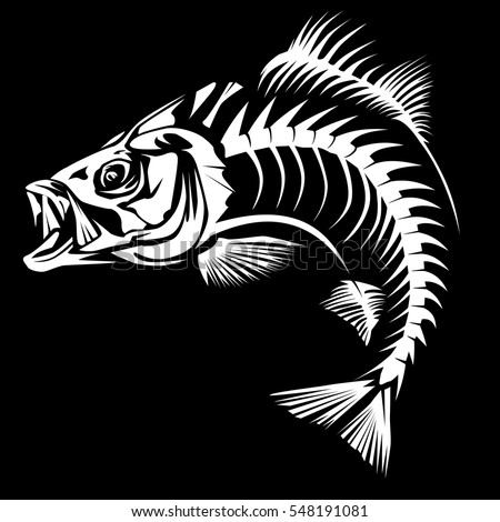 Download Bass Fish Skeleton Isolated On White Stock Vector (Royalty ...