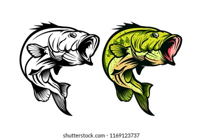 bass fish vector fishing illustration