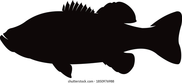 Bass fish Vector. Great to use as bass fishing Decal, Shirts. etc