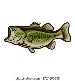 diseño de ilustración vectorial de peces bass objeto aislado sobre fondo blanco