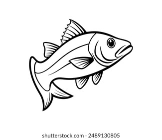 bass fish vector illustration design isolated white background