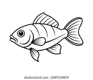 bass fish vector illustration design isolated white background