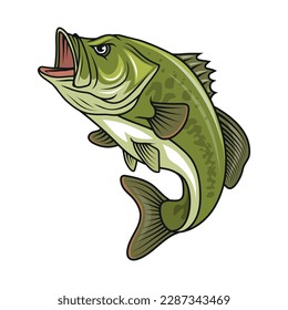 Bass fish. Vector illustration of largemouth perch fish