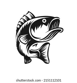 Bass fish vector illustration vintage style. Design element for logo, label, emblem.