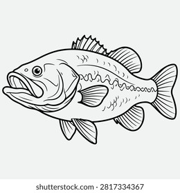Bass Fish Vector Line Art Isolated on White Background