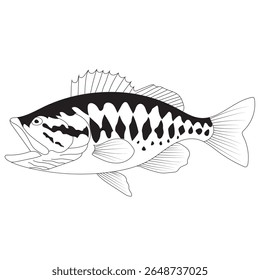 baixo peixe vetor silhueta ilustrações ilustrações