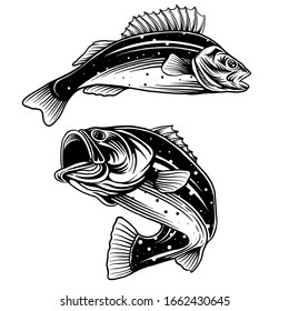 バス釣り 白黒の大魚のイラスト のベクター画像素材 ロイヤリティフリー Shutterstock