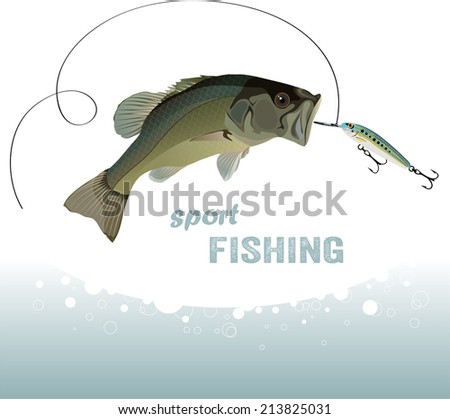bass fishing, bass catches the bait, vector illustration Stock photo © 
