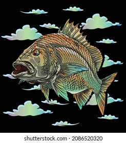 Bass fishing illustration  Vector  Fish  Fishing River Hook
 graphic Design T shirt  Fisherman 
