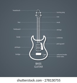 bass guitar