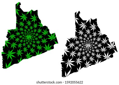 Bas-Sassandra District (Ivory Coast, Republic of Cote dIvoire) map is designed cannabis leaf green and black, Bas Sassandra map made of marijuana (marihuana,THC) foliage