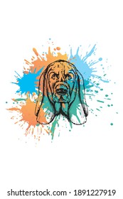 Basset dog. Hand drawn sketch. Colorful sublimation