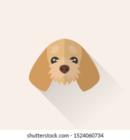 Basset Fauve de Bretagne Dog Head Vector Flat Design Illustration from Front View for Website Icon, Social Media or Blog Post for Dog Business Related