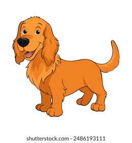 Basset Fauve de Bretagne or Fawn Brittany Basset Dog breed vector illustration isolated on white background in cartoon style.