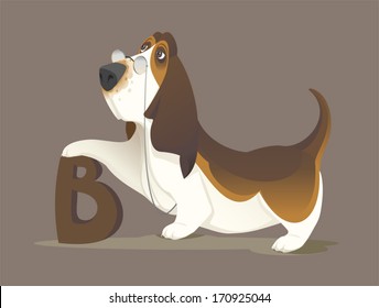 Basset Hound