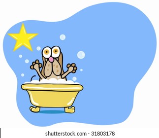 Basset Hound Bath