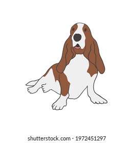 Basset Hound breed. Hunting dog. Hound doggy sitting on white background. Realistic purebred domestic dog. Isolated flat vector illustration