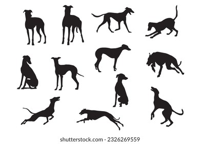 Basset hound dog animal silhouettes, vector silhouettes of a dog, Silhouettes of dog breeds, Collection of dog silhouettes, vector hand drawn animals silhouette set illustration, Vector set with black