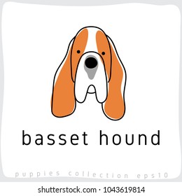 Basset Hound : Dog Breed Collection : Vector Illustration