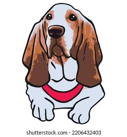 Basset Hound Dog Colored Drawing