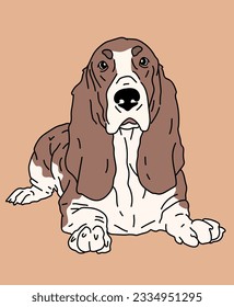 Basset Hound Dog Front View Lying Down