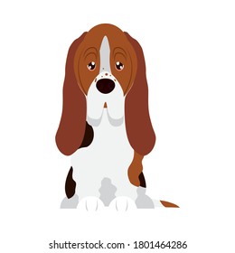 basset hound dog icon over white background, flat style, vector illustration