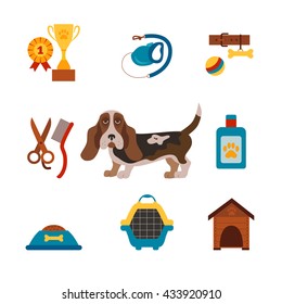 basset hound dog infografic with dog care isolated elements. 