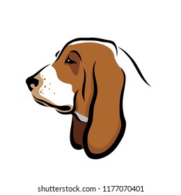 Basset hound dog - isolated vector illustration