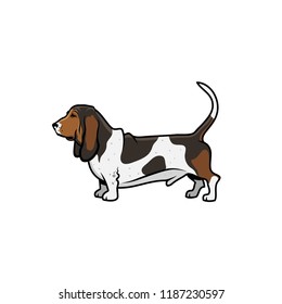 Basset Hound Dog - Isolated Vector Illustration