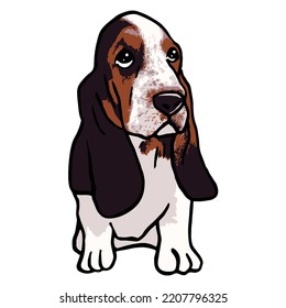 Basset Hound Dog Pet Colored Drawing