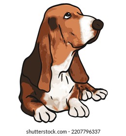 Basset Hound Dog Pet Colored Drawing