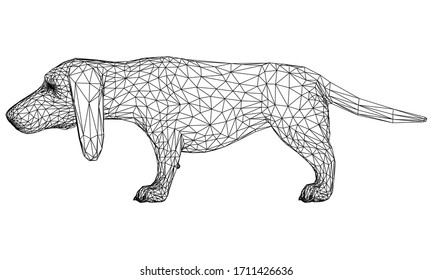 Basset Hound dog polygonal lines illustration. Abstract vector dog on the white background