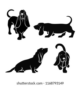 Basset hound dog set of isolated vector illustrations