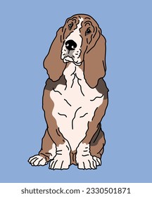 Basset Hound Dog Sitting Front View Illustration