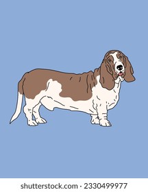 Basset Hound Dog Standing In Side View Illustration