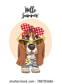 Basset Hound Dog in a striped cardigan, in a red polka dot headband and in a sunglasses. Vector illustration.