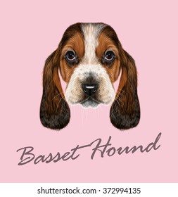 Basset Hound Dog. Vector Illustrated Portrait of Puppy on pink background.